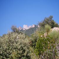 Photo de france - La randonnée du moulin de Ribaute